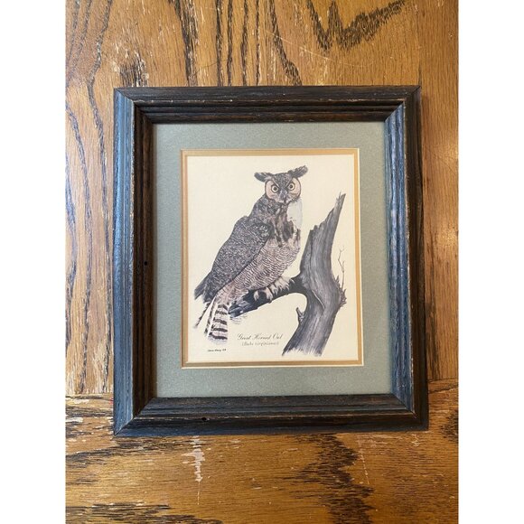 Vintage Framed Great Horned Owl Print By Gene Gray 1989 - Picture 1 of 7